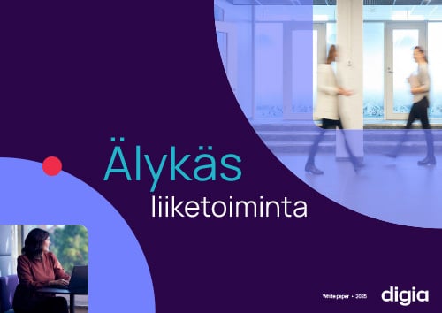 Digia-alykas-liiketoiminta-500x354px
