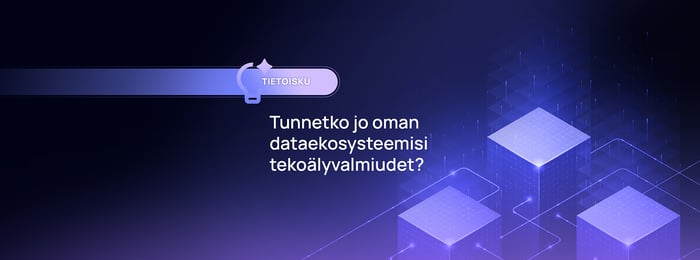 Tietoisku: Dataekosysteemin tekoälyvalmiudet