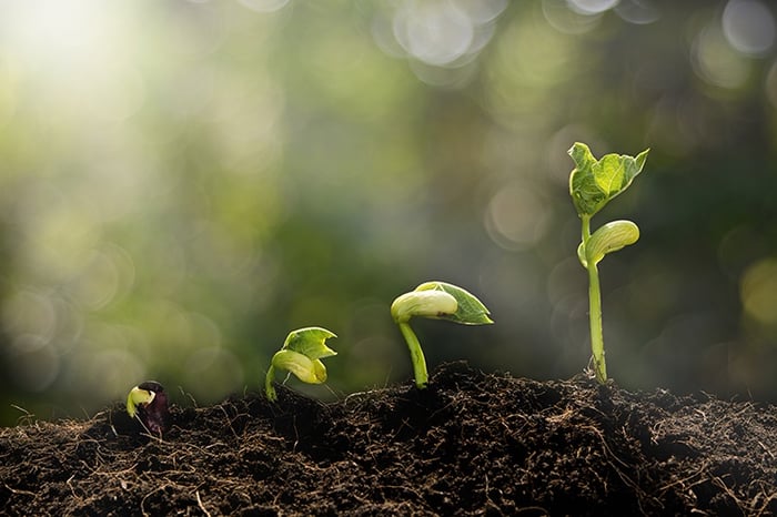 Webinaaritallenne: Green code