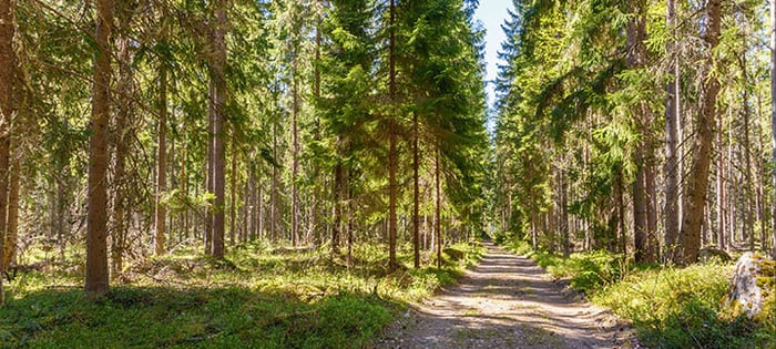 Case Kauniaisten kaupunki