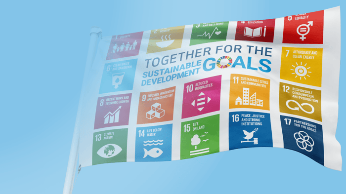 SDG Flag Day - Digia liputtaa YK:n kestävän kehityksen tavoitteiden puolesta