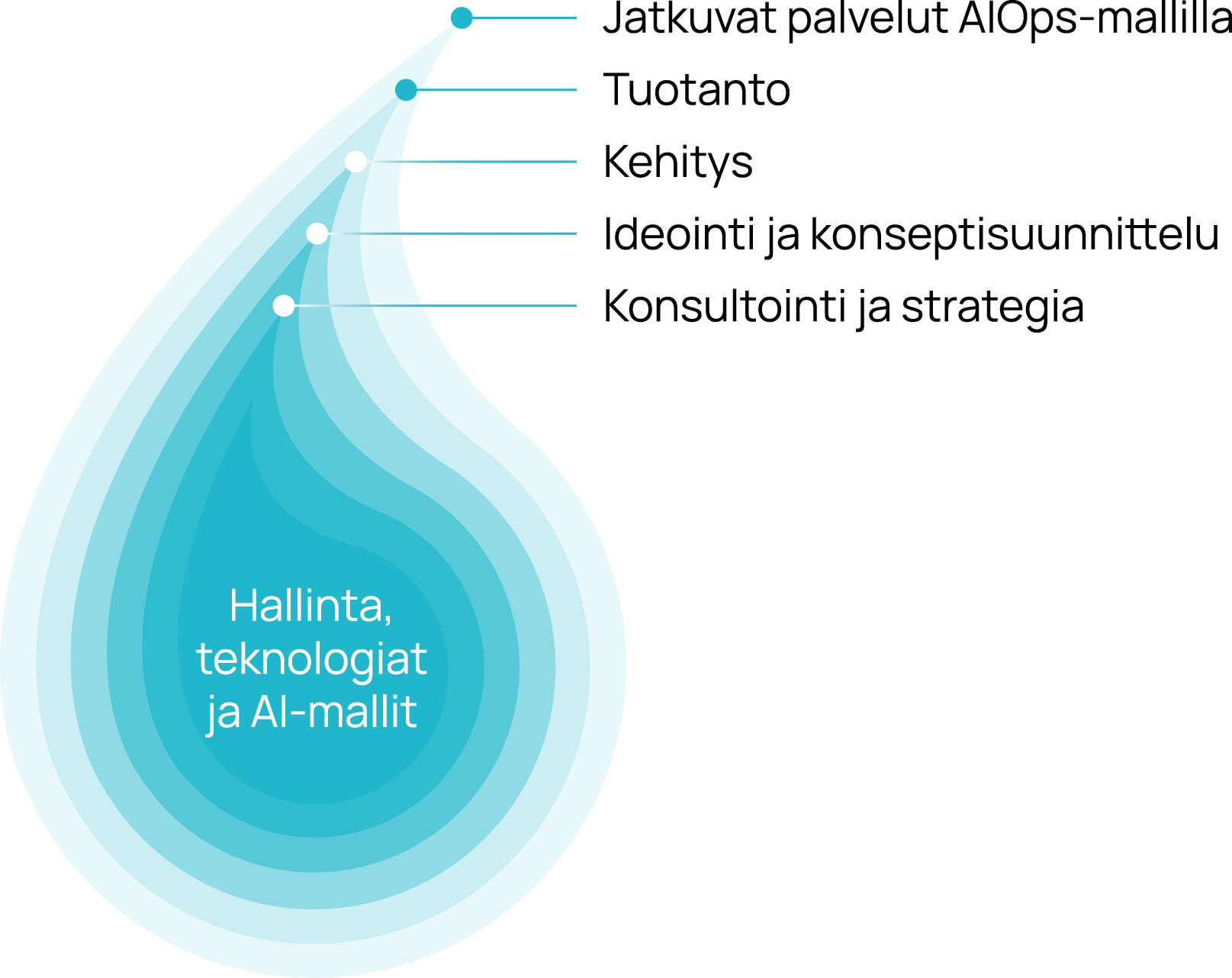 dolphin_infographic_FI