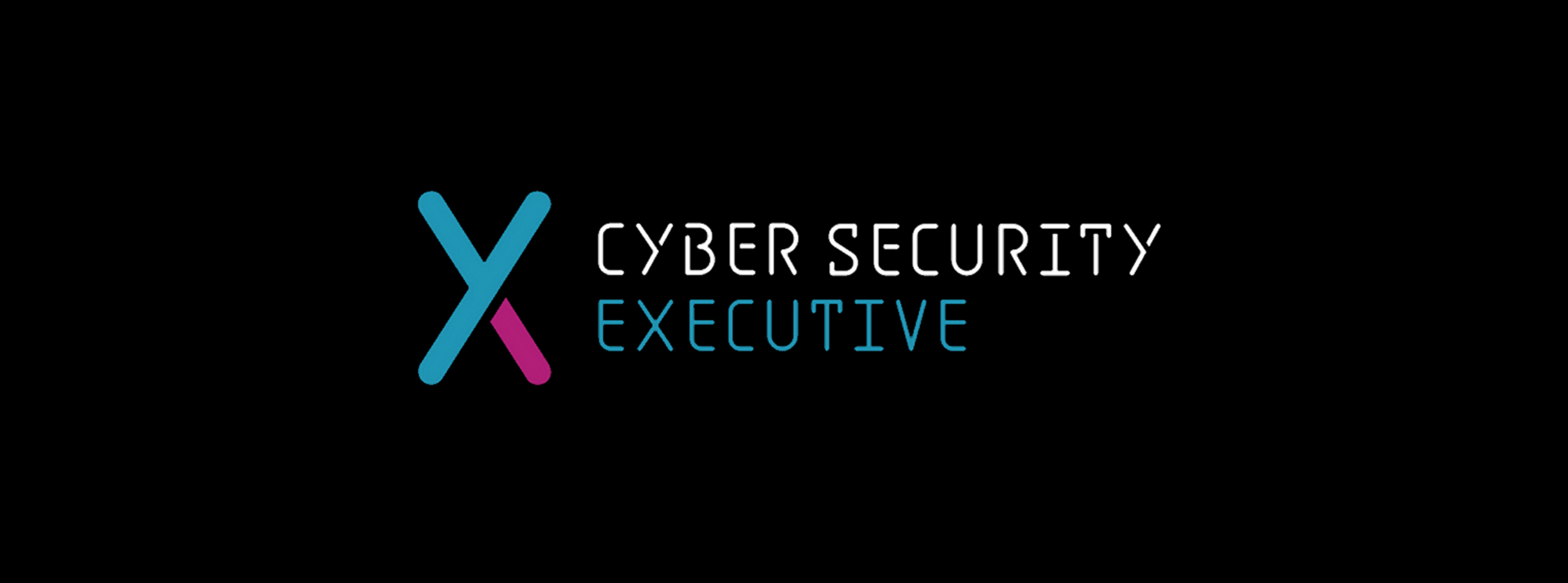 Cyber Security Executive